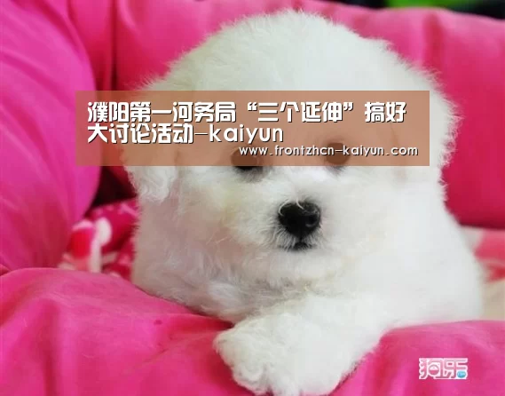 濮阳第一河务局“三个延伸”搞好大讨论活动-kaiyun(图1) 开云平台